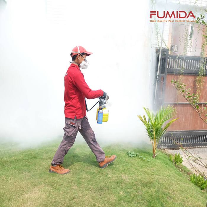 Fogging nyamuk jasa fumida surabaya timur pembasmi dbd 1123 melakukan cabang yogyakarta bandung bsd jangan pengasapan sebabnya sembarangan hubungi penyakit